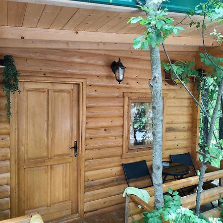 Still Cabin Cetinje Esterno foto