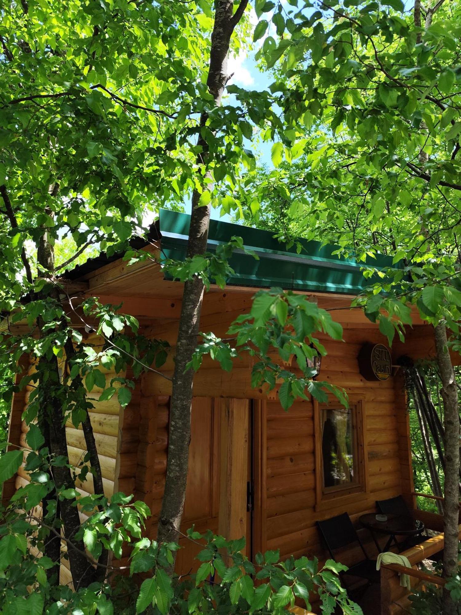 Still Cabin Cetinje Esterno foto